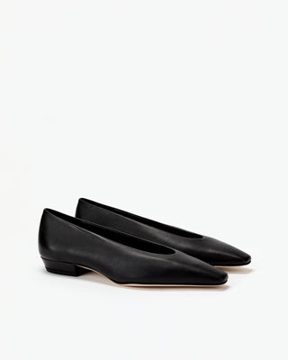 Camellia Flat