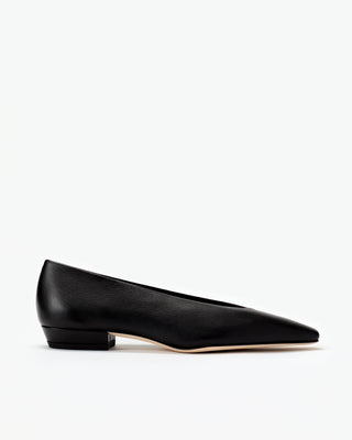 Camellia Flat