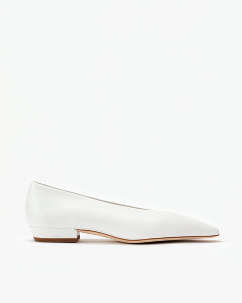 Camellia Flat