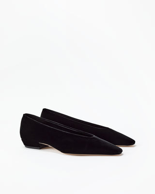 Camellia Flat