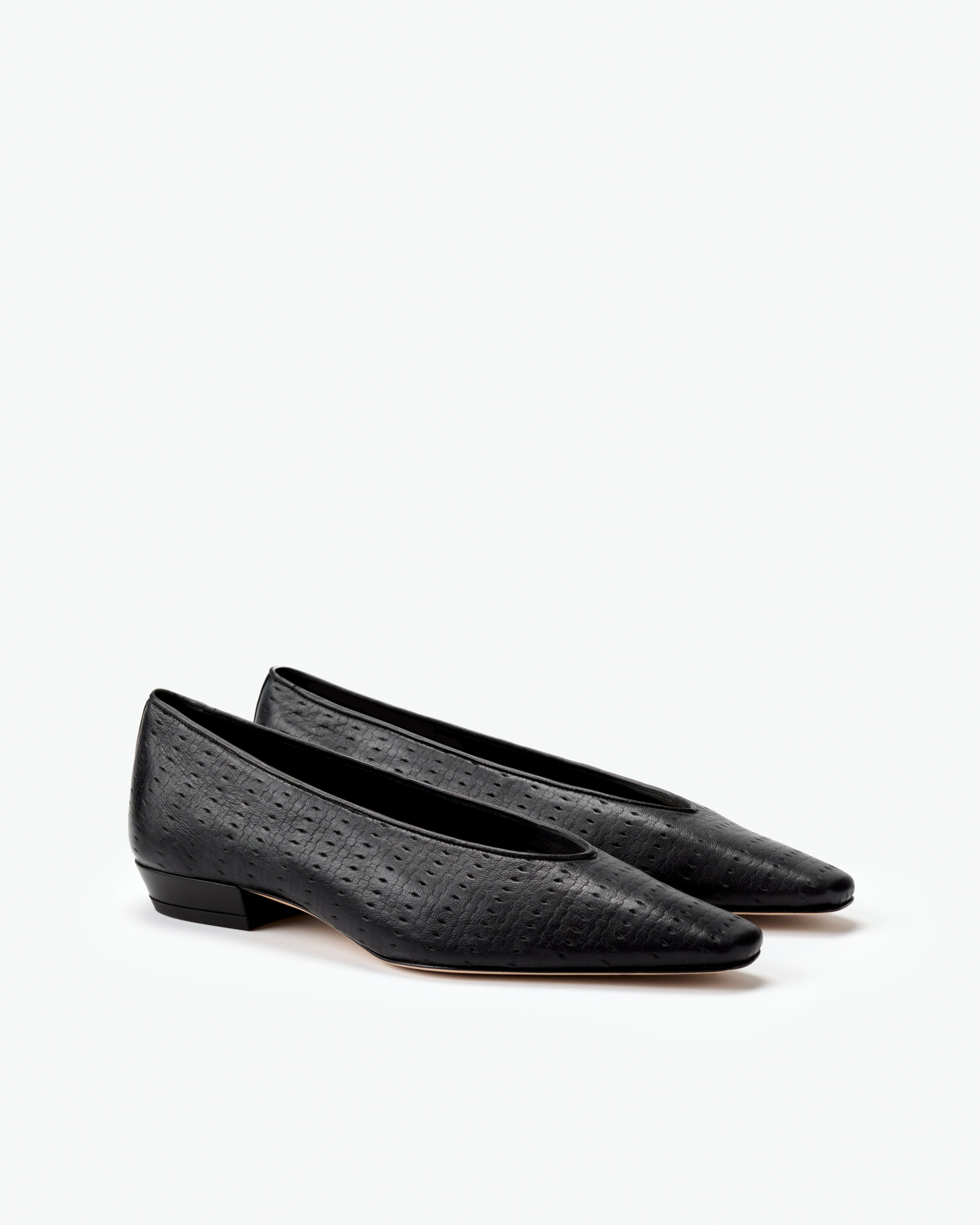 Camellia Flat