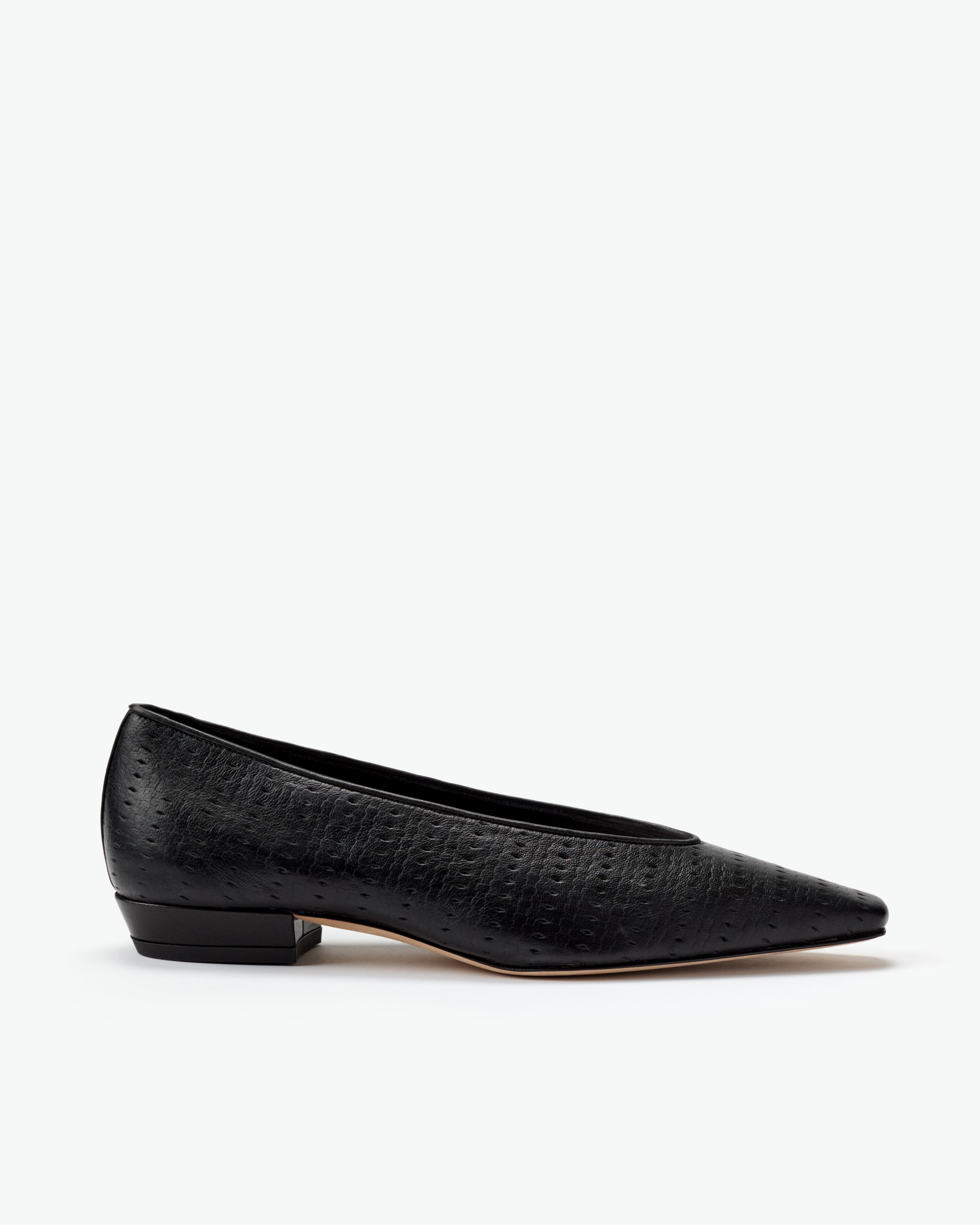 Camellia Flat