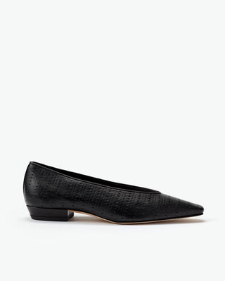 Camellia Flat