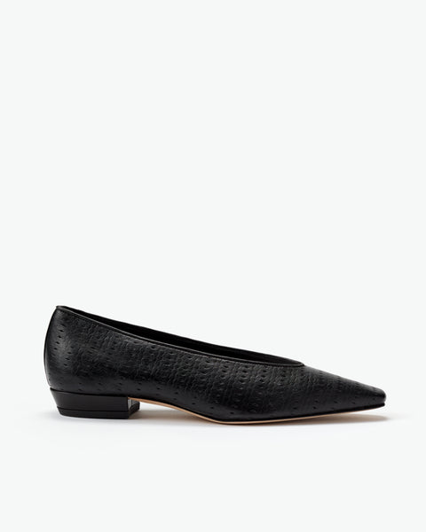 Camellia Flat
