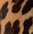 Leopard Printed