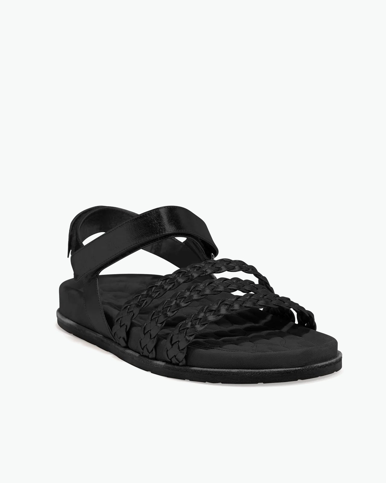 Hibiscus Black Nappa
